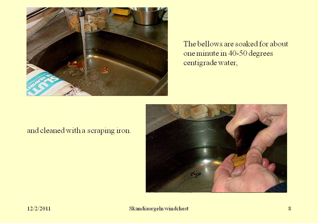 primary bellows
      washing